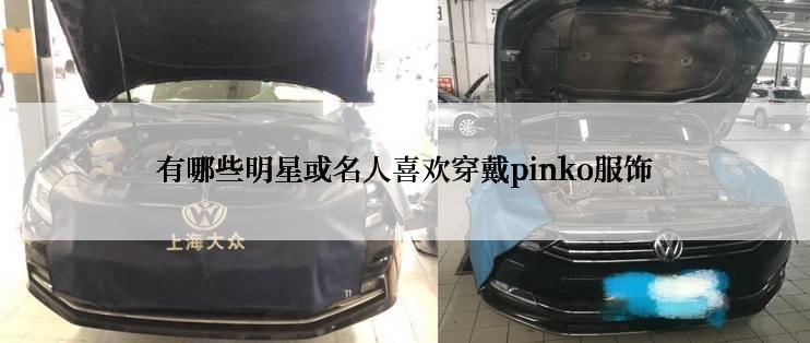 有哪些明星或名人喜欢穿戴pinko服饰