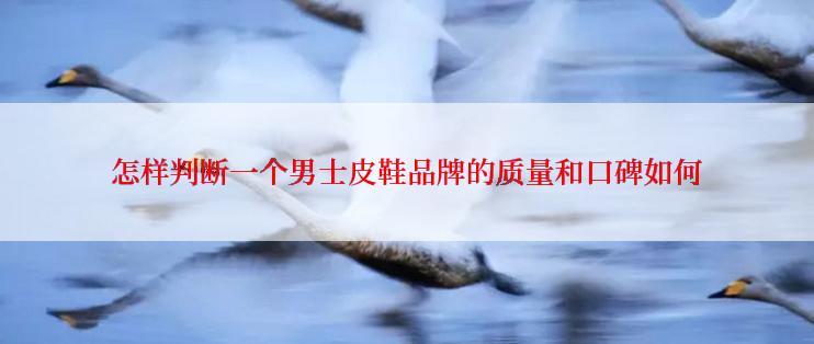 怎样判断一个男士皮鞋品牌的质量和口碑如何
