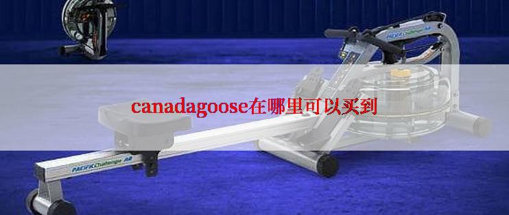 canadagoose在哪里可以买到