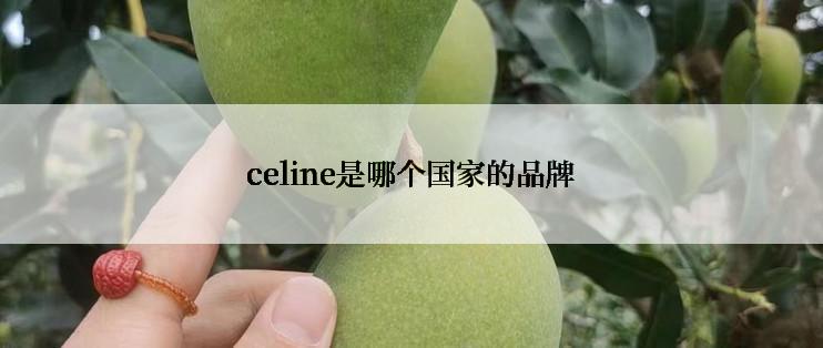 celine是哪个国家的品牌