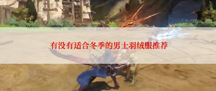  有没有适合冬季的男士羽绒服推荐