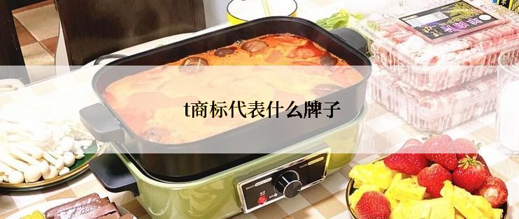 t商标代表什么牌子
