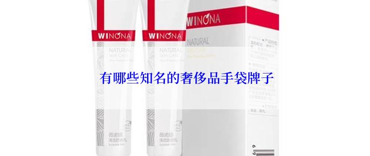  有哪些知名的奢侈品手袋牌子