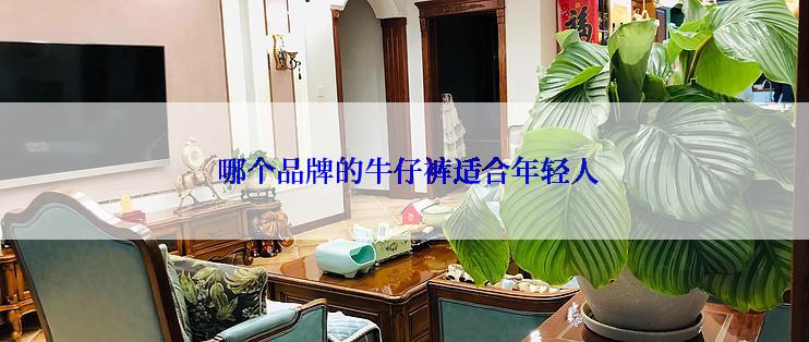  哪个品牌的牛仔裤适合年轻人