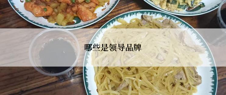 哪些是领导品牌