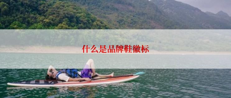什么是品牌鞋徽标