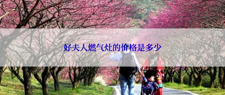 好夫人燃气灶的价格是多少