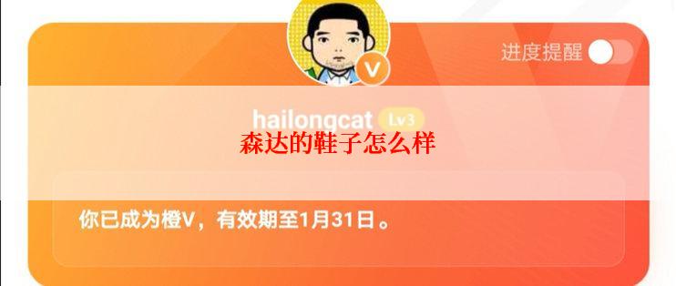 森达的鞋子怎么样