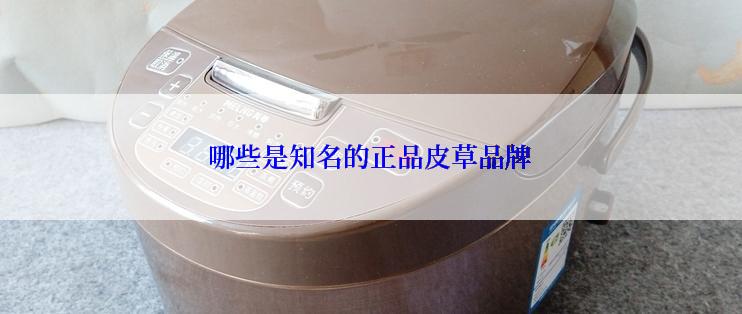 哪些是知名的正品皮草品牌