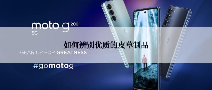如何辨别优质的皮草制品