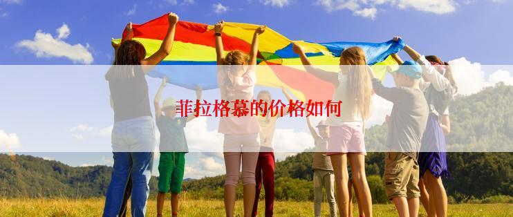  菲拉格慕的价格如何