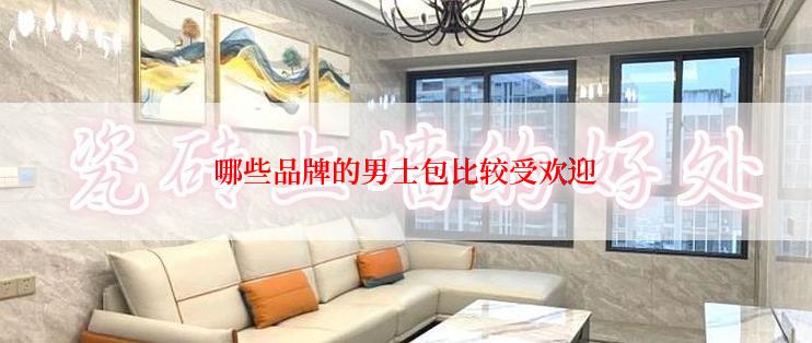 哪些品牌的男士包比较受欢迎