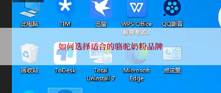 如何选择适合的骆驼奶粉品牌