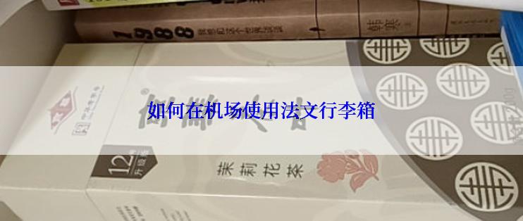 如何在机场使用法文行李箱