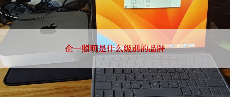 企一照明是什么级别的品牌