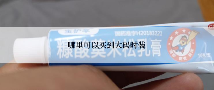 哪里可以买到大码时装