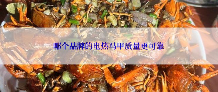 哪个品牌的电热马甲质量更可靠
