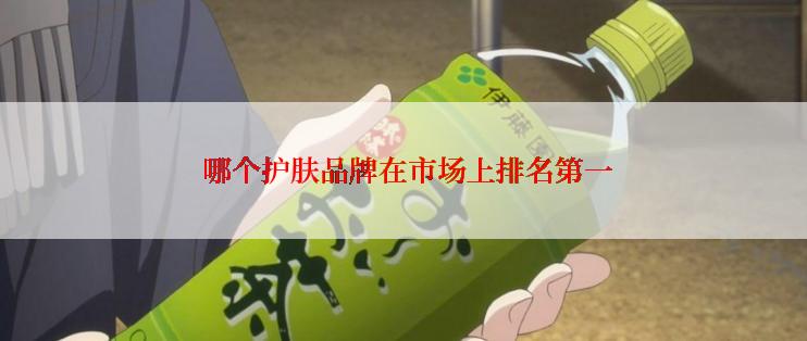  哪个护肤品牌在市场上排名第一