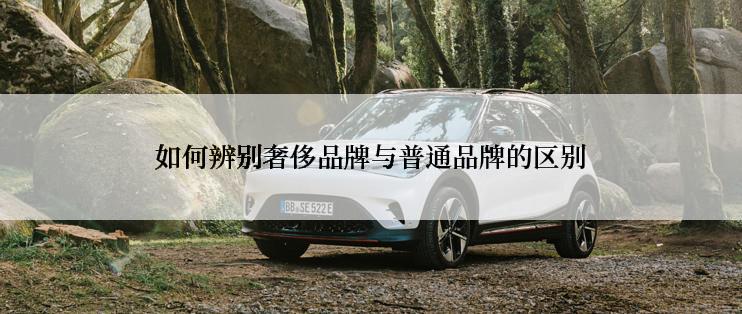 如何辨别奢侈品牌与普通品牌的区别