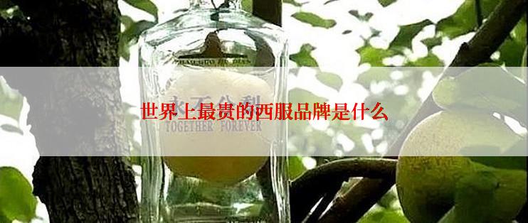 世界上最贵的西服品牌是什么