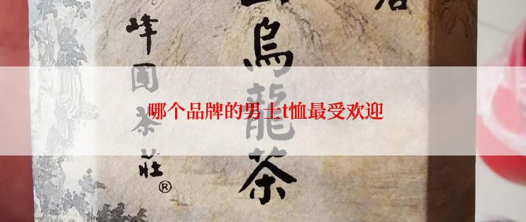  哪个品牌的男士t恤最受欢迎