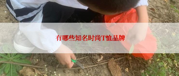  有哪些知名时尚T恤品牌