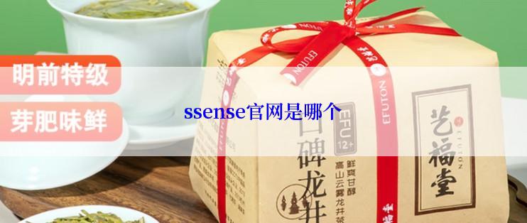 ssense官网是哪个