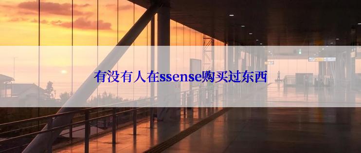 有没有人在ssense购买过东西