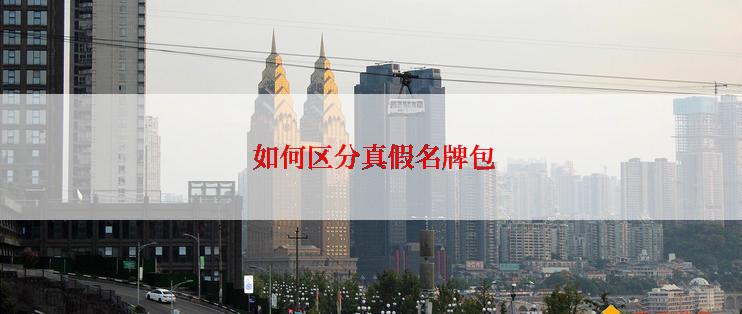  如何区分真假名牌包