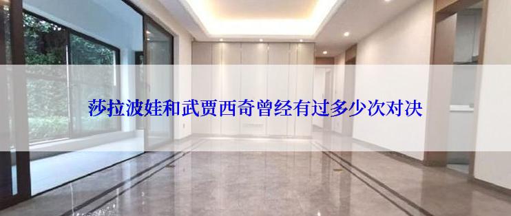 莎拉波娃和武贾西奇曾经有过多少次对决