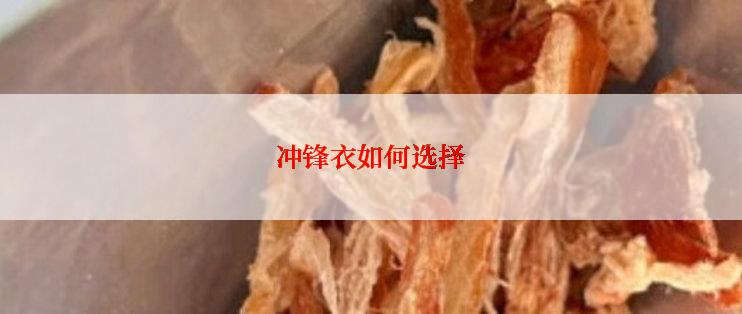 冲锋衣如何选择