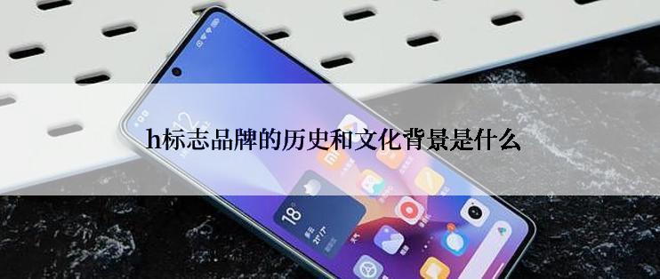  h标志品牌的历史和文化背景是什么