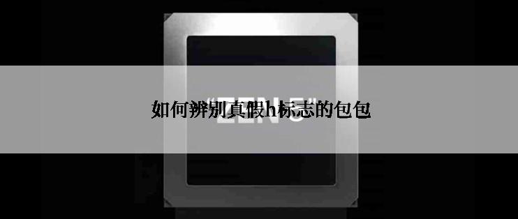  如何辨别真假h标志的包包