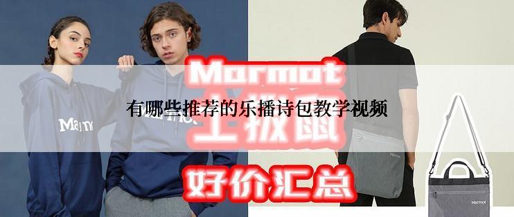 有哪些推荐的乐播诗包教学视频