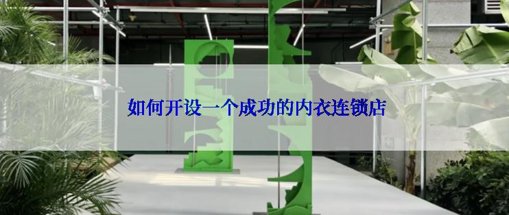  如何开设一个成功的内衣连锁店