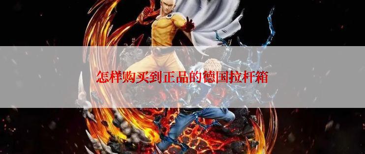 怎样购买到正品的德国拉杆箱