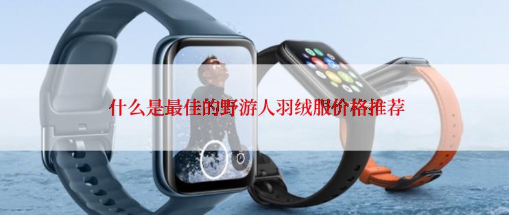  什么是最佳的野游人羽绒服价格推荐