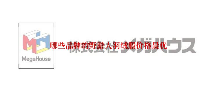  哪些品牌的野游人羽绒服价格最优