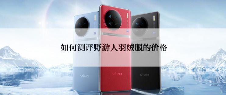  如何测评野游人羽绒服的价格