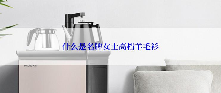 什么是名牌女士高档羊毛衫
