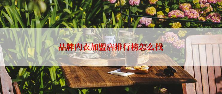 品牌内衣加盟店排行榜怎么找