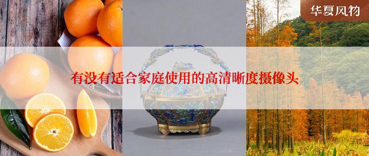 有没有适合家庭使用的高清晰度摄像头