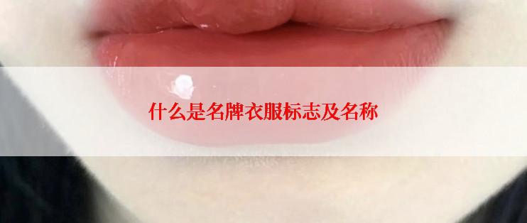什么是名牌衣服标志及名称