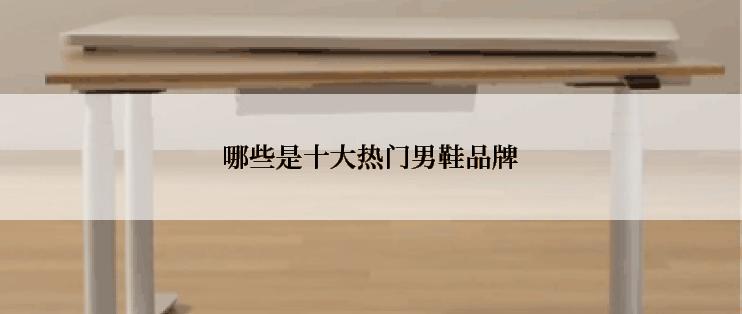 哪些是十大热门男鞋品牌