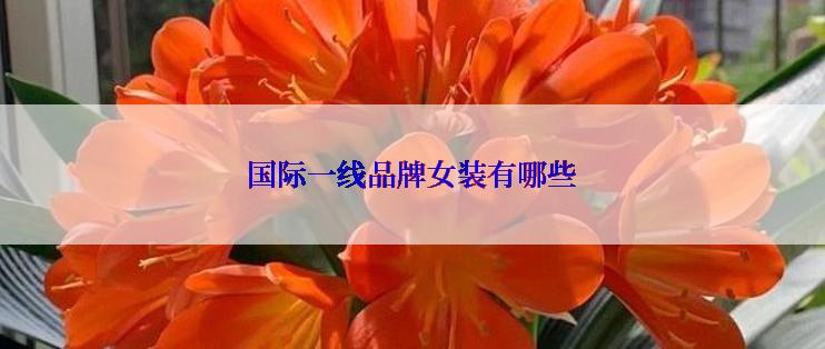 国际一线品牌女装有哪些