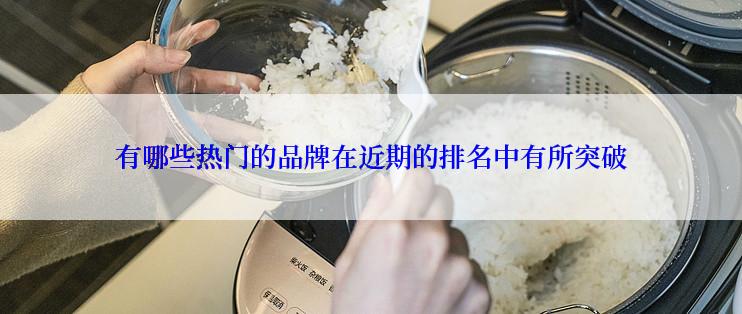 有哪些热门的品牌在近期的排名中有所突破