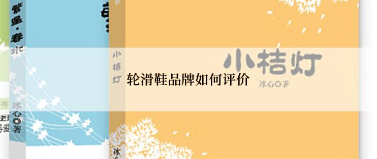 轮滑鞋品牌如何评价