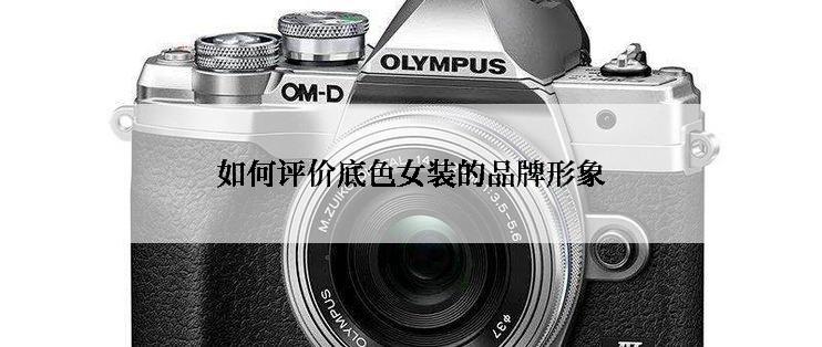 如何评价底色女装的品牌形象