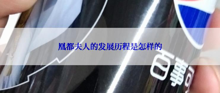 凰都夫人的发展历程是怎样的