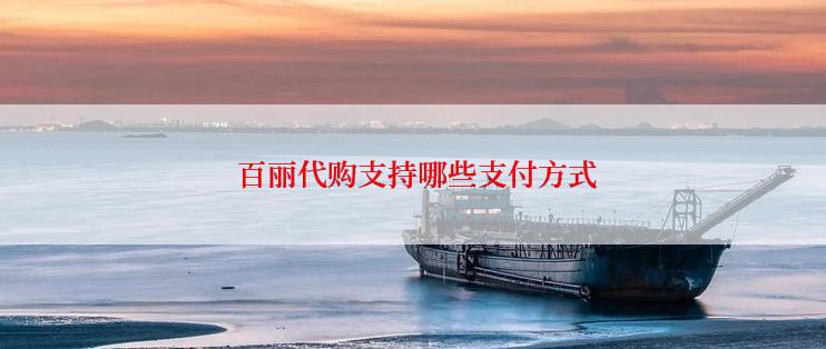 百丽代购支持哪些支付方式